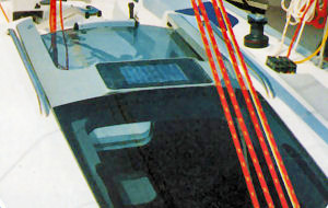 ハッチコンパニオン