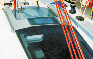 ハッチコンパニオン